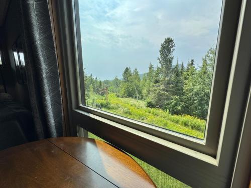 a window with a view of a forest at Ski in Ski out Cozy Studio Condo, Pool, Hot Tub, Views of Moose Mtn in Lutsen