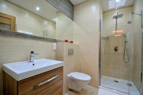 La salle de bains est pourvue de toilettes, d'un lavabo et d'une douche. dans l'établissement StaraPolana.EU & SPA, à Zakopane