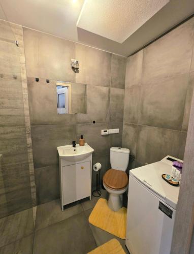 a bathroom with a toilet and a sink at Apartament słoneczny in Rydułtowy