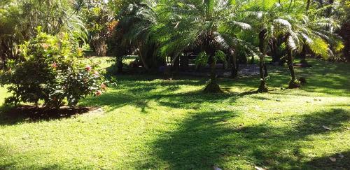 Κήπος έξω από το Casa De Campo LaPiña