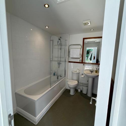 a bathroom with a tub and a toilet and a sink at Plas Derwen Hotel in Abergavenny