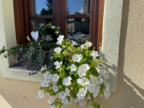 Gallery image of Apartments Petra in Slunj