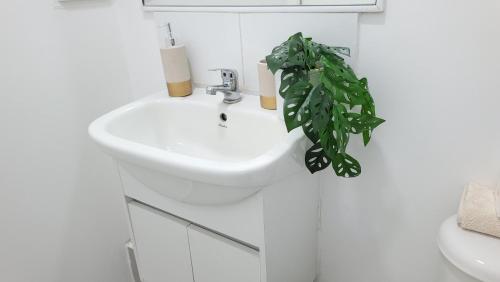 a bathroom with a sink and a green plant at Departamento nuevo y completo en Condominio Volcán Antuco in Los Ángeles