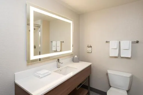 Holiday Inn Express Miami Airport-Blue Lagoon Area by IHG photo 22