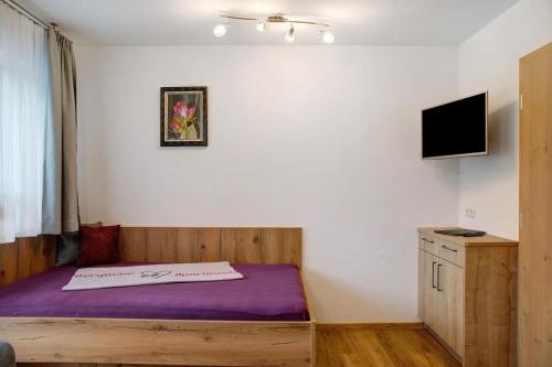 TV a/nebo společenská místnost v ubytování Bergliebe Apartments