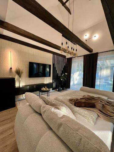 a bedroom with a large bed and a tv at Silent Lake in Látrány
