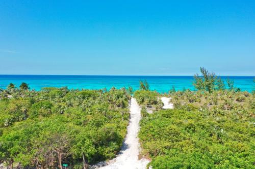 a trail through the trees on the beach at Silver Palms - Brand New Designer Home on Banks Road home in North Palmetto Point
