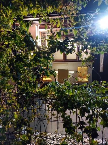 a view of a building from behind a plant at SylApart in Bicaz