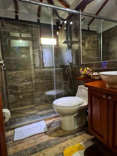 a bathroom with a shower and a toilet and a sink at Casa Hotel San Pedro in Villa de Leyva