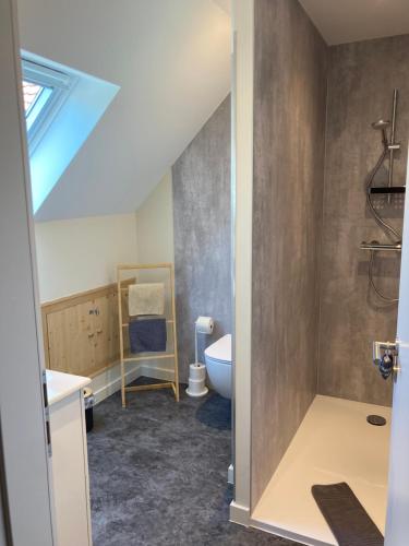 a bathroom with a toilet and a sink at Le Val Charmant in Thanvillé