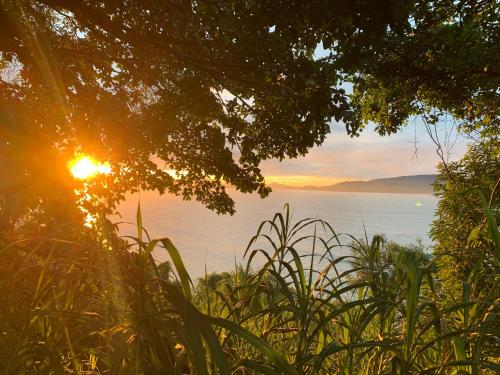 ein Sonnenuntergang über einem Gewässer mit Pflanzen in der Unterkunft Ondas & Sol in São Vicente