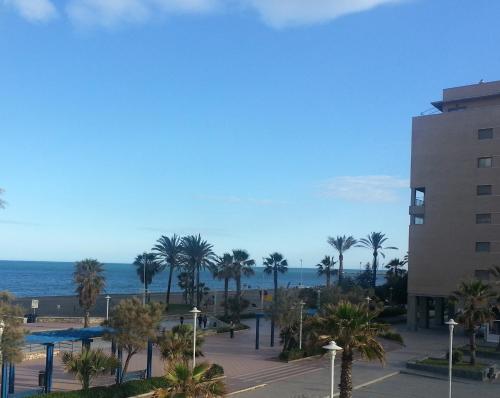 Paseo Marítimo Antonio Banderas