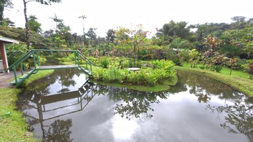 a pond in a garden with a bridge and plants at Cabañas Los Laguitos Rio Celeste in El Achiote