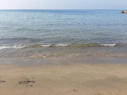 Φυσικό τοπίο κοντά σε αυτό το διαμέρισμα