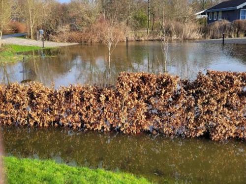 Billede fra billedgalleriet på Seaside Charm in Ristinge-By Traum i Humble