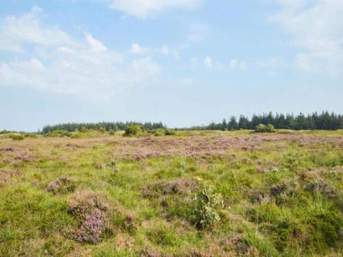 a field of grass with trees in the background at 6 person holiday home in Toftlund-By Traum in Toftlund