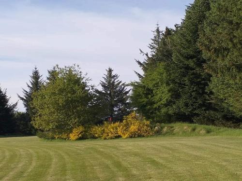 a grass field with trees and bushes in a field at 6 person holiday home in Toftlund-By Traum in Toftlund