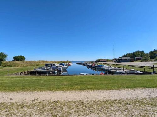 a marina with boats docked in the water at 6 person holiday home in Ulfborg-By Traum in Ulfborg
