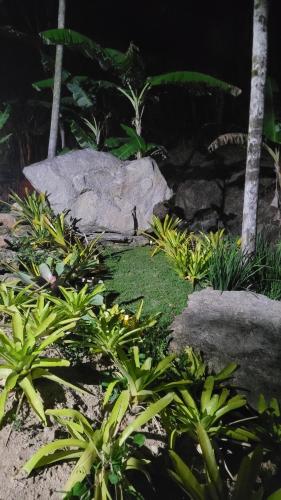 a garden with plants and a large rock at Experiência incrível na Serra! in Engenheiro Paulo de Frontin