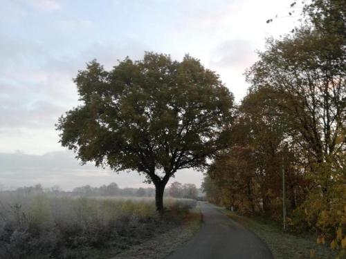 Naturlandschaft in der Nähe des Chalets
