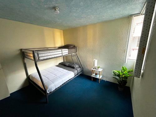 1 dormitorio con litera y planta en Beachfront Condo Enjoy Paradise!, en Playas de Rosarito