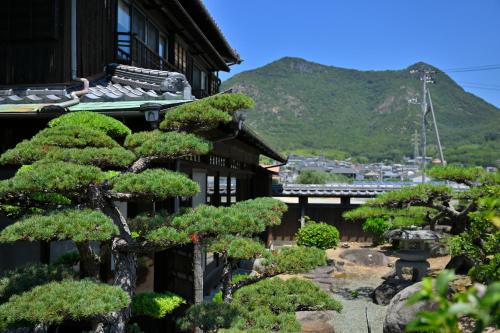 a pine tree in front of a building at 島宿栞 in Tonosho