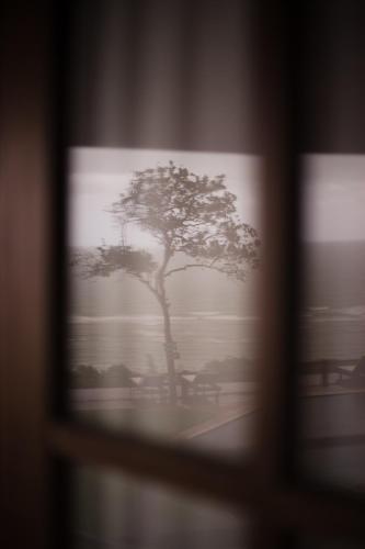a picture of a tree in a window at Beijo do Vento Pousada in Arraial d'Ajuda