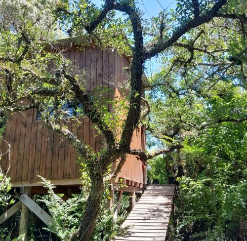 Κήπος έξω από το Cabaña entre arboles