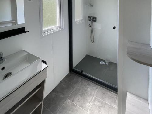 Ένα μπάνιο στο Mobil home 6 pers, terrasse en Ardèche - API-1-52-777