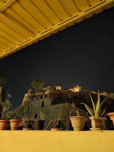 a group of potted plants in front of a castle at Relax Inn Jaisalmer in Jaisalmer