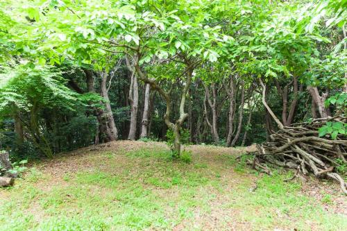 a group of trees in a field with grass at Ise Shima Moritoumi in Shima
