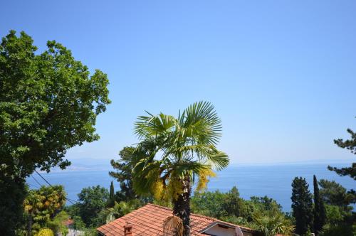 Apartment Bella 1