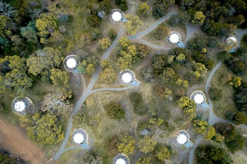 an overhead view of winding roads in a forest at Spring Bay Mill in Triabunna