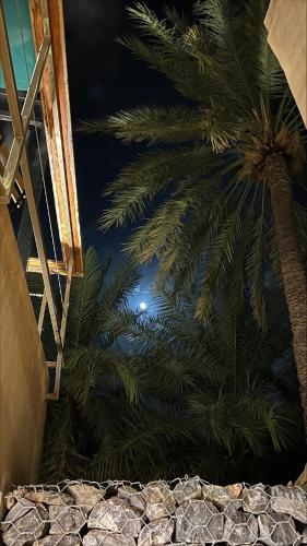 a palm tree next to a building with a light at نزل حارة المسفاة Harit AL Misfah Inn in Misfāh