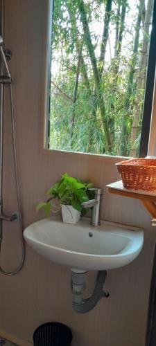 Φωτογραφία από το άλμπουμ του Rusty Garage Homestay Huế σε Hue