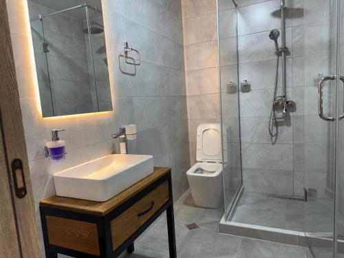 a bathroom with a sink and a shower and a toilet at Hotel Daba Kazbegi in Stepantsminda
