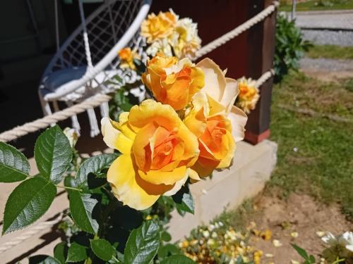 a bouquet of yellow roses on a fence at Bakina kućica - Grandma's cottage in Gospić