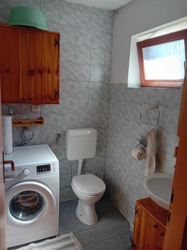 a bathroom with a toilet and a washing machine at Bakina kućica - Grandma's cottage in Gospić