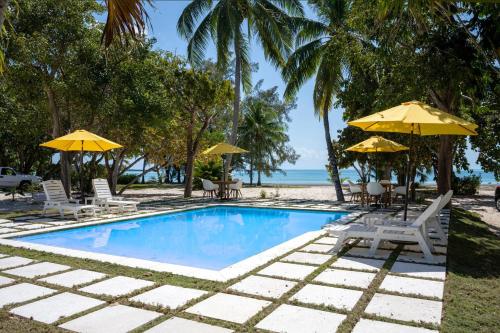 a swimming pool with chairs and umbrellas on the beach at Laughing Bird 1BR #2 - Brand New Stylish Apartment, Pool, Beach condo in Colebrooke Dale