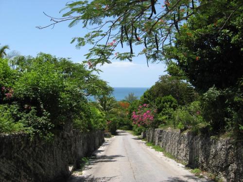 a dirt road with trees and pink flowers on a wall at Laughing Bird 1BR #2 - Brand New Stylish Apartment, Pool, Beach condo in Colebrooke Dale