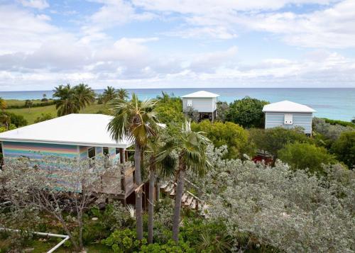 a house with trees and the ocean in the background at Cayo Loco Studio - Cayo Loco Pink Sand Beachview Studio Villa home in Colebrooke Dale