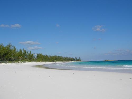 a white beach with trees and the ocean at Laughing Bird 2BR #5 - Brand New Stylish Apartment, Pool and Bea condo in Colebrooke Dale