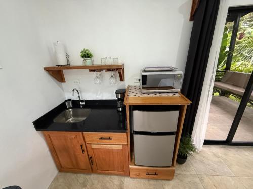 Η κουζίνα ή μικρή κουζίνα στο Creekside Lofts #1