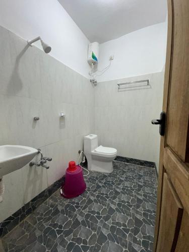a bathroom with a toilet and a sink at Chellams Churchview Homestay in Velankanni
