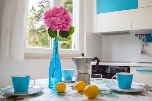 Η κουζίνα ή μικρή κουζίνα στο Apartments Punta by Sea