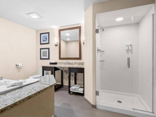 Koupelna v ubytování Comfort Inn & Suites Allen Park - Dearborn