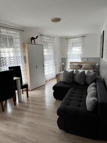 a living room with a couch and a dog on top of a door at Platinum Guesthouse in Szeged