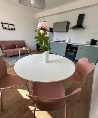 Le Romane-appartement calme et confort-15 minutes à pied de l hyper centre-parking gratuit