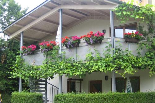ein Gebäude mit Blumenkästen an der Seite in der Unterkunft Zum Rebberg Ferienwohnungen in Freiburg im Breisgau