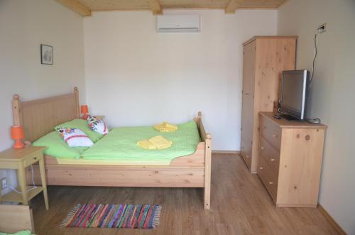 a bedroom with a bed and a tv on a dresser at Ubytování u Muzea hraček in Lednice